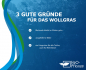 Preview: Wollgras - Eriophorum angustifolium